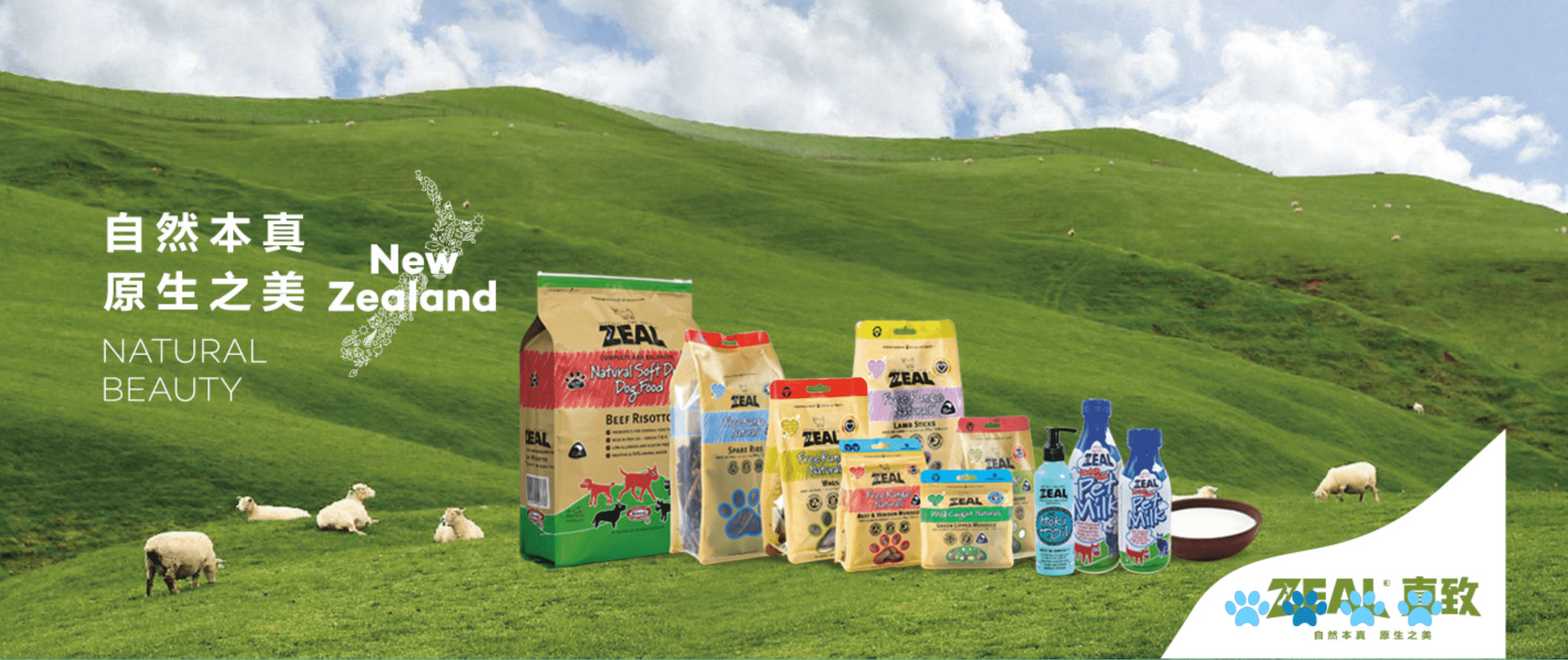 新百胜集团·(中国游)新官方网站