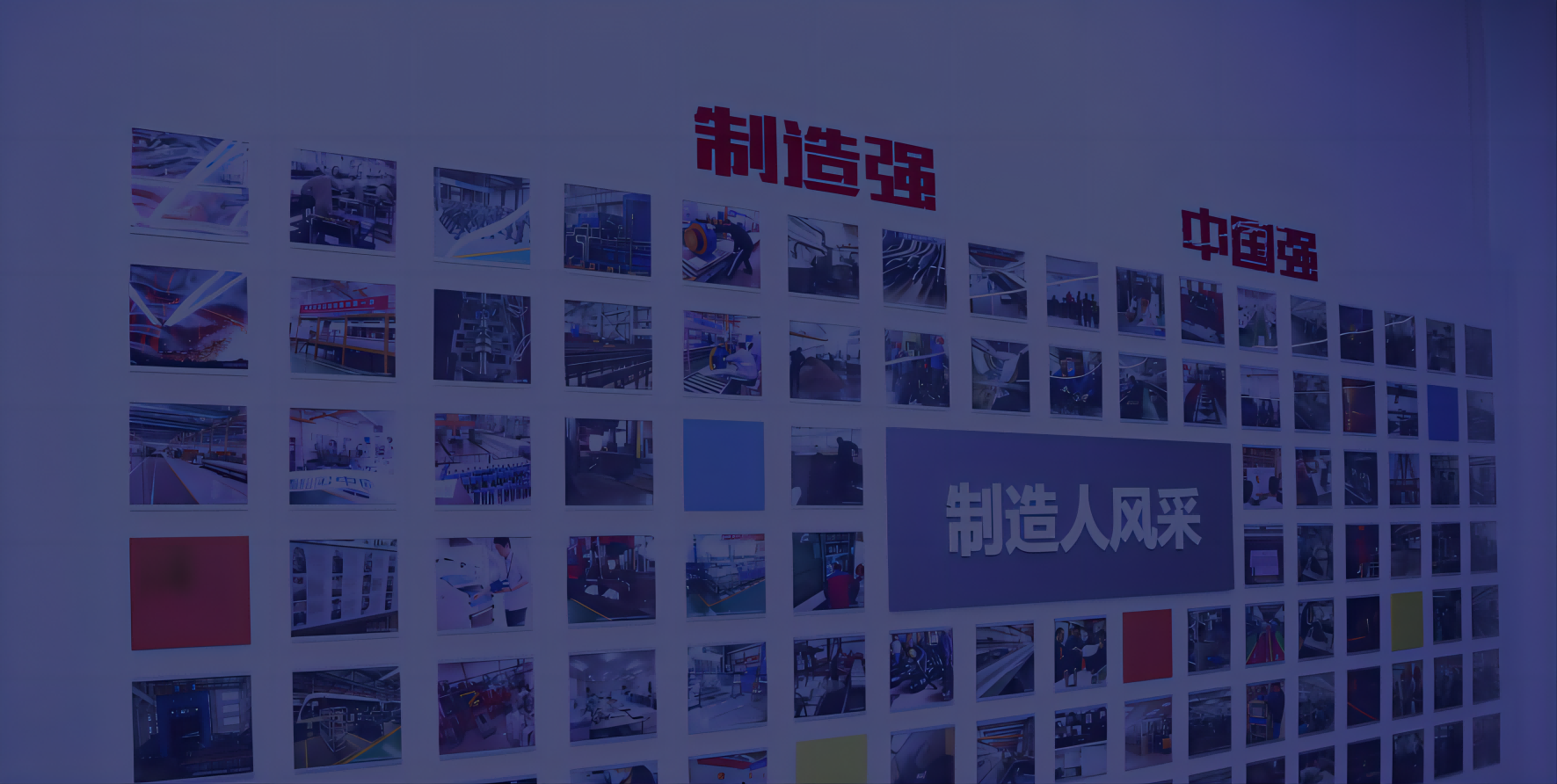 新百胜集团组织