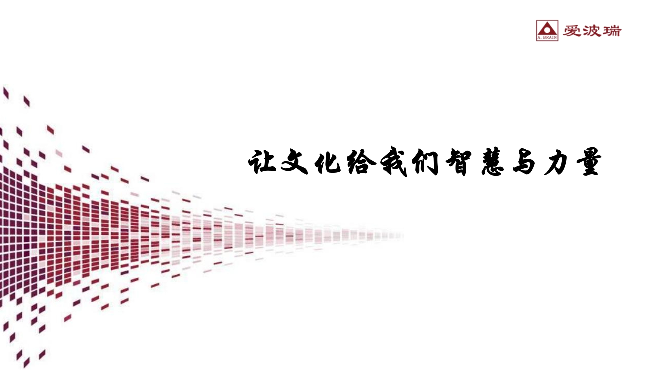  2024首场文化分享运动：从企业文化罗致智慧与实力