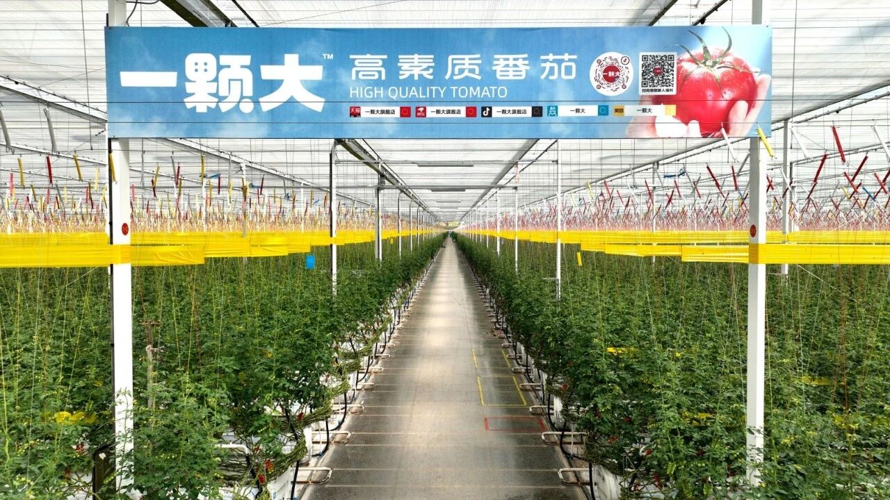 新百胜集团·(中国游)新官方网站