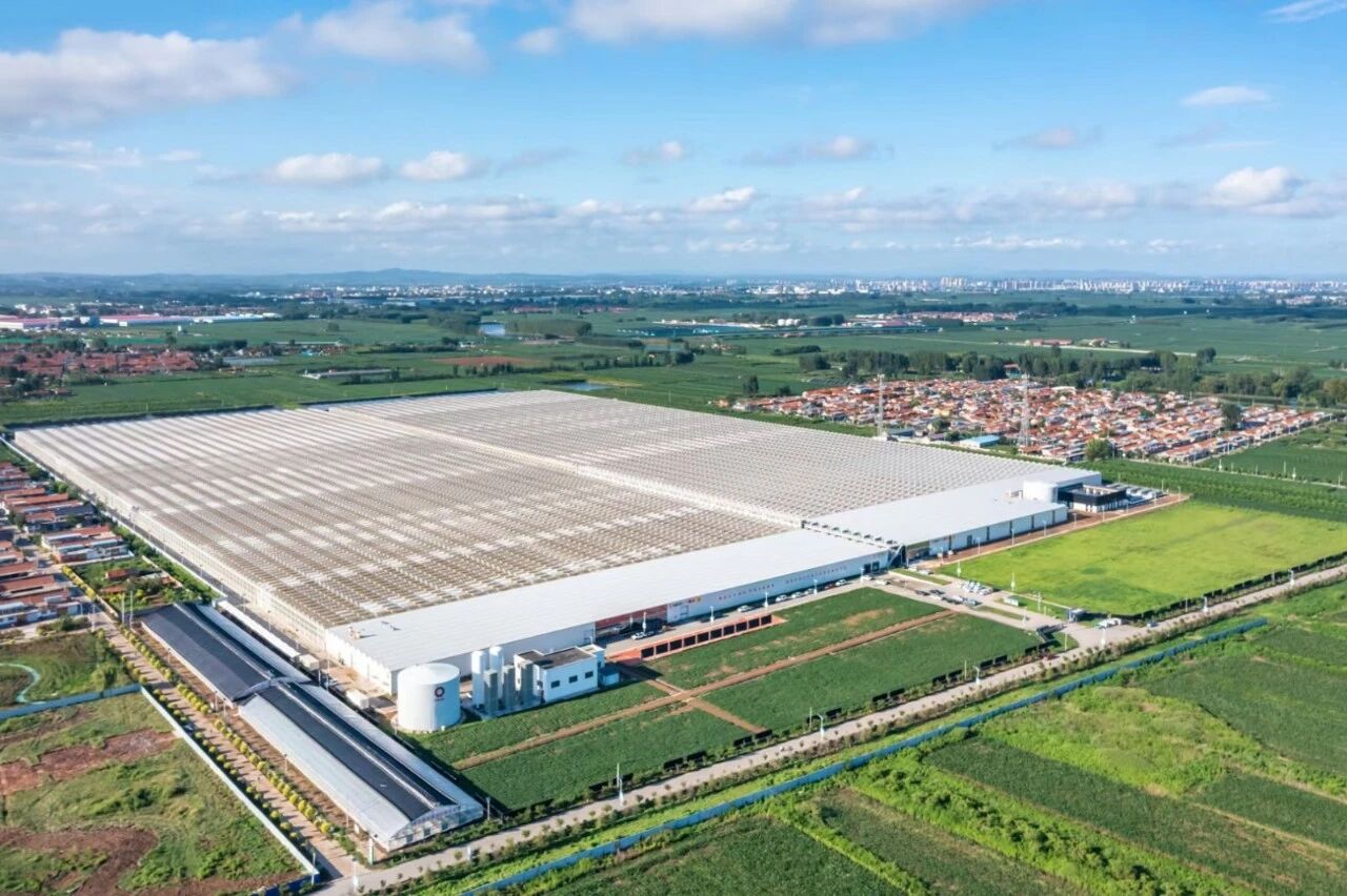 新百胜集团·(中国游)新官方网站